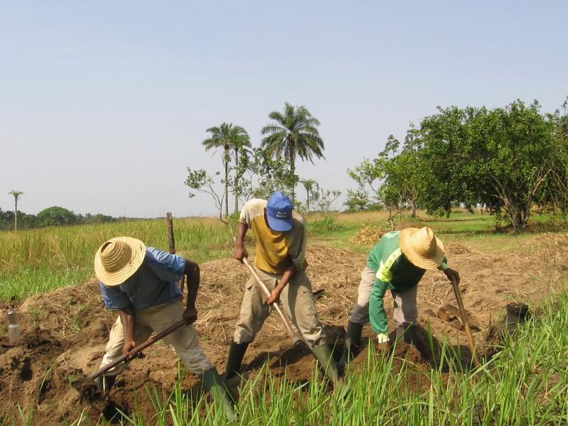 img-projet-pisciculture-et-agriculture-